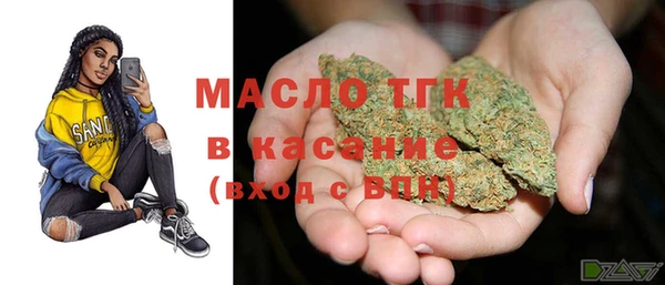 дживик Абинск