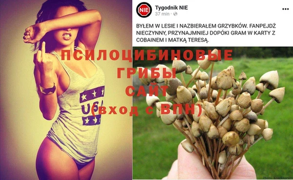 бошки Абаза